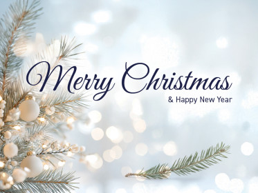 Merry Christmas 2025 - thumbnail